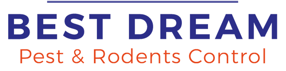 بست دريم لمكافحة الحشرات والقوارض فى الامارات